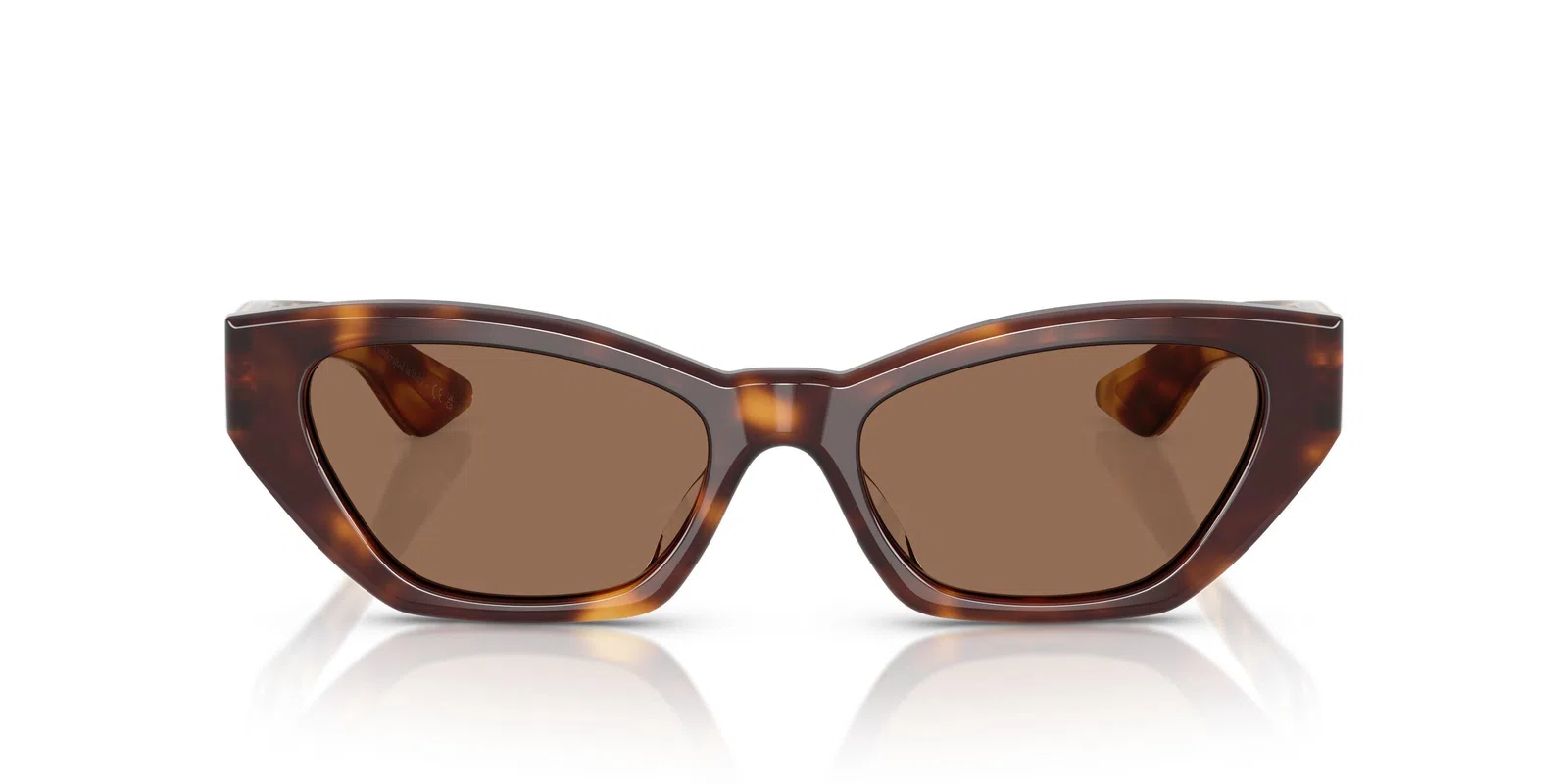 Oliver Peoples 1961c 5582SU Sunglasses - view 11